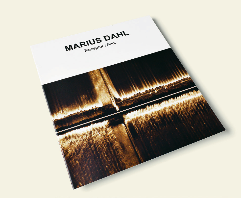 <BR>Marius Dahl- 2008 - 2009