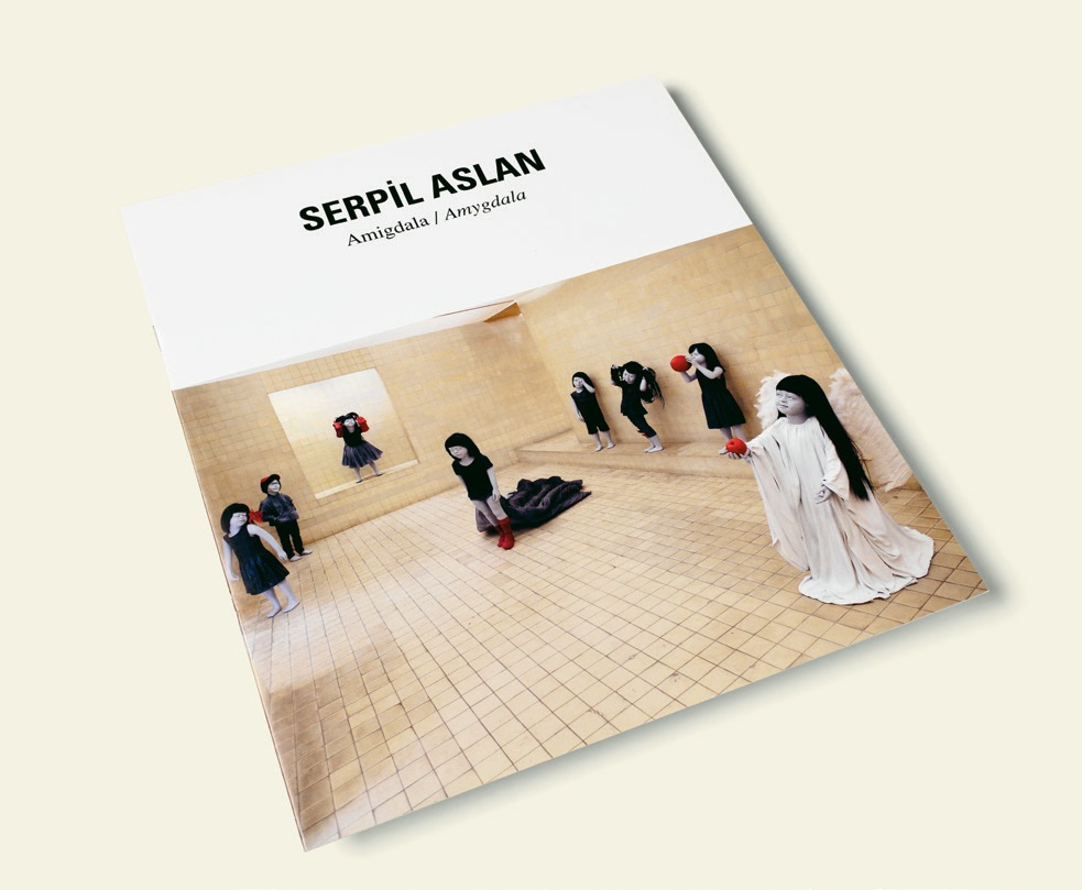 <BR>Serpil Aslan- 2014 - 2015